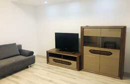 Apartament 2 camere, mobilat modern, Romanescu Park Residence!