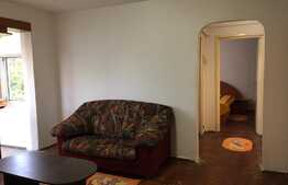 Ocazie investitie! Apartament 2 camere, zona Brazda lui Novac