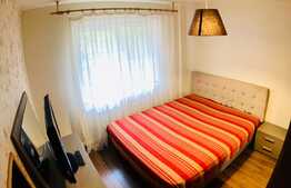 Apartament 3 camere, mobilat si utilat, Rovine!