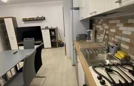 Apartament de lux, 2 camere, zona centrala, parcare privata