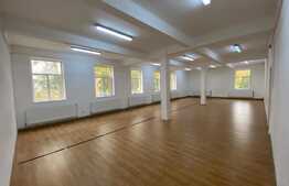 Spatiu de birouri, 150 mp, zona Colegiului Stefan Odobleja