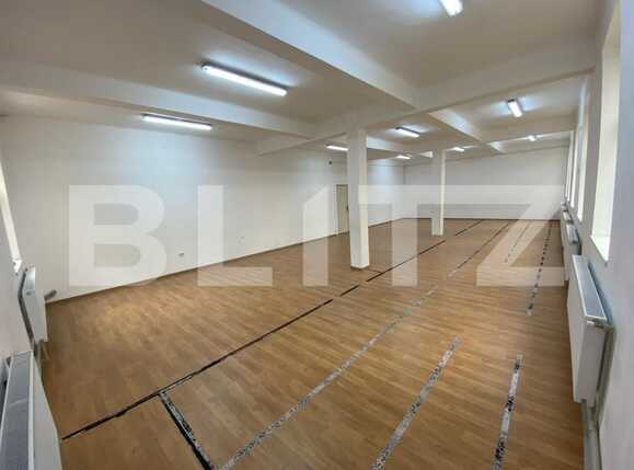 Spațiu birouri de închiriat Valea Rosie - 74163SIB | BLITZ Craiova | Poza4