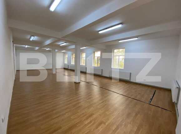 Spațiu birouri de închiriat Valea Rosie - 74163SIB | BLITZ Craiova | Poza1