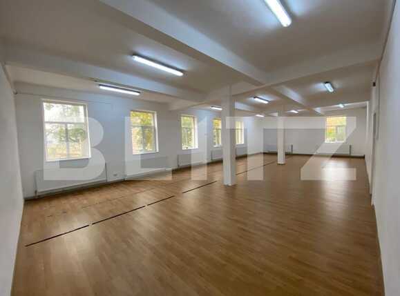 Spațiu birouri de închiriat Valea Rosie - 74163SIB | BLITZ Craiova | Poza2