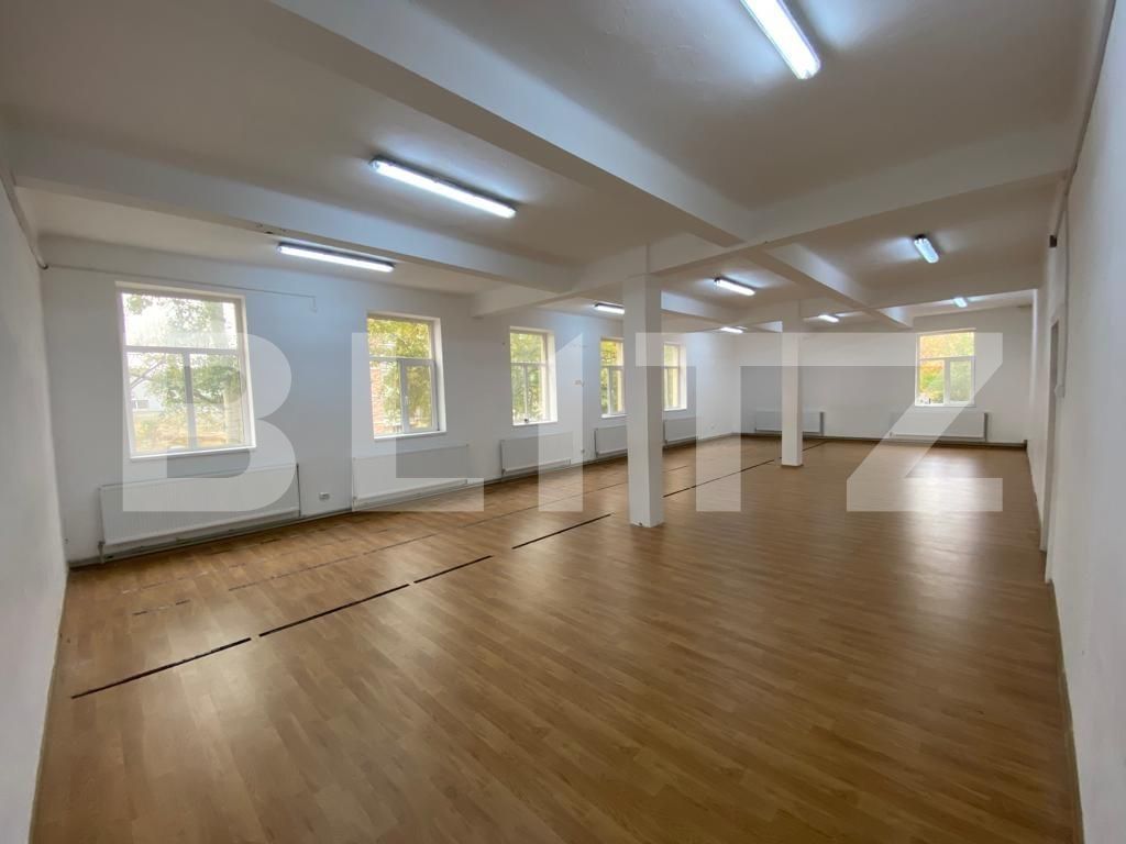 Spațiu birouri de închiriat Valea Rosie - 74163SIB | BLITZ Craiova | Poza2