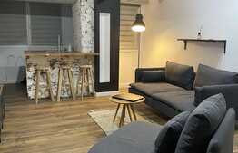 Apartament de 2 camere, lux, incalzire in pardoseala, zona rovine