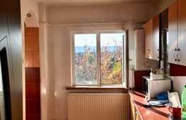 Apartament de 2 camere, 48 mp, cartier Valea Rosie  