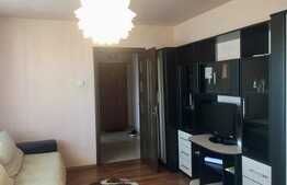 Apartament de 2 camere, 48 mp, cartier Valea Rosie  