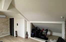 OPORTUNITATE! Casă premium, 175 mp utili cu 412 mp teren, zona Ford