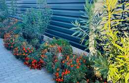 Casă individuală la cheie, 145 mp utili și 400 mp teren, Albești 