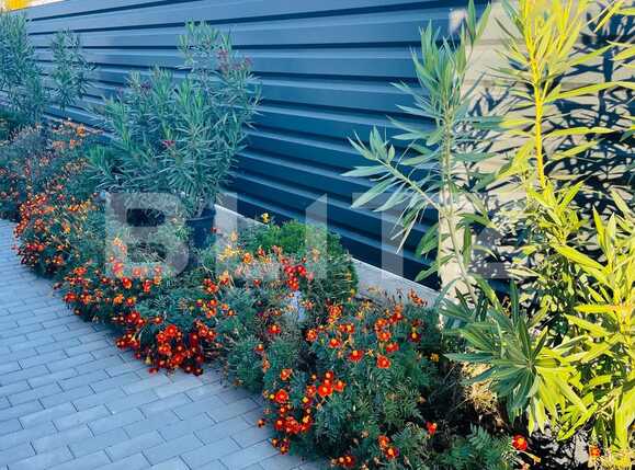 Casa de vânzare 4 camere Nord-Vest - 74438CV | BLITZ Craiova | Poza14