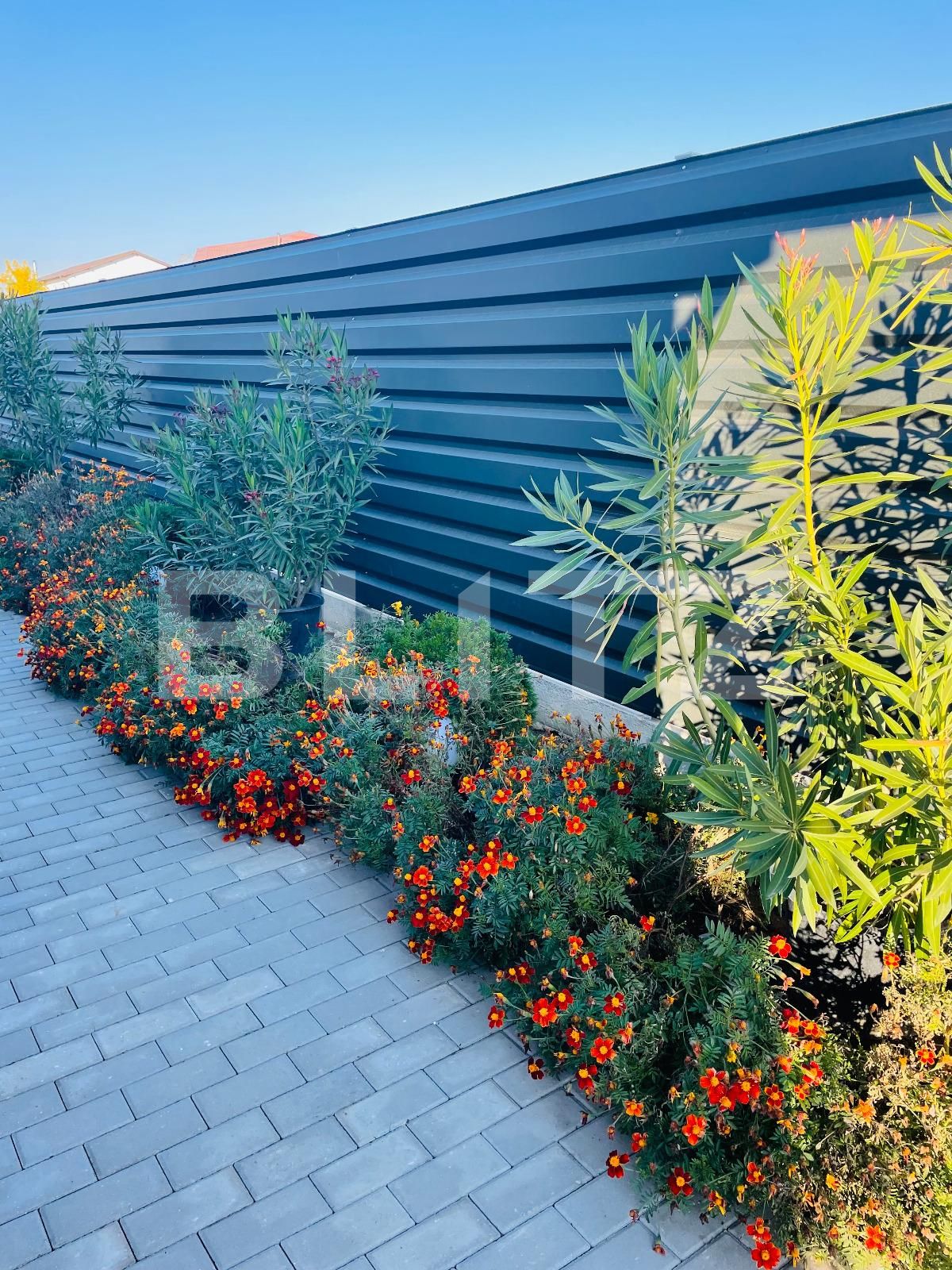 Casa de vânzare 4 camere Nord-Vest - 74438CV | BLITZ Craiova | Poza14