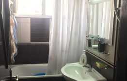 Apartament 2 camere, 47 mp, Brazda lui Novac