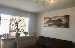 Apartament 2 camere, 47 mp, Brazda lui Novac