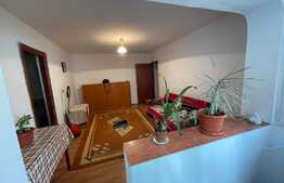 Apartament 2 camere, etaj 1, mobilat si uitilat, zona craiovita 