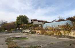 Casă de vacanță de 200 mp utili, piscină, lac cu ponton, 6000 mp, Florești