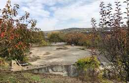 Casă de vacanță de 200 mp utili, piscină, lac cu ponton, 6000 mp, Florești