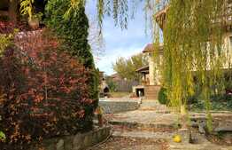 Casă de vacanță de 200 mp utili, piscină, lac cu ponton, 6000 mp, Florești