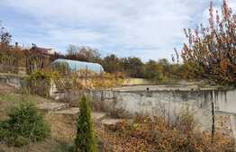 Casă de vacanță de 200 mp utili, piscină, lac cu ponton, 6000 mp, Florești