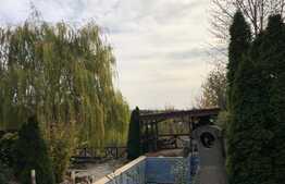 Casă de vacanță de 200 mp utili, piscină, lac cu ponton, 6000 mp, Florești