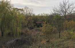 Casă de vacanță de 200 mp utili, piscină, lac cu ponton, 6000 mp, Florești