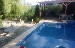 Casă de vacanță de 200 mp utili, piscină, lac cu ponton, 6000 mp, Florești