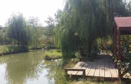 Casă de vacanță de 200 mp utili, piscină, lac cu ponton, 6000 mp, Florești