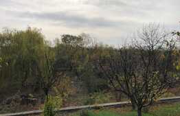 Casă de vacanță de 200 mp utili, piscină, lac cu ponton, 6000 mp, Florești