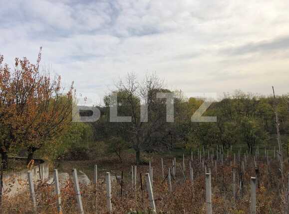 Casa de vânzare 5 camere Nord - 75293CV | BLITZ Craiova | Poza12