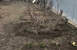 Casă individuală 108 mp utili cu teren 406 mp, cartier Știrbei Vodă