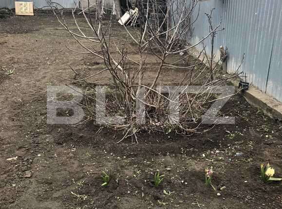 Casa de vânzare 3 camere Central - 75298CV | BLITZ Craiova | Poza7