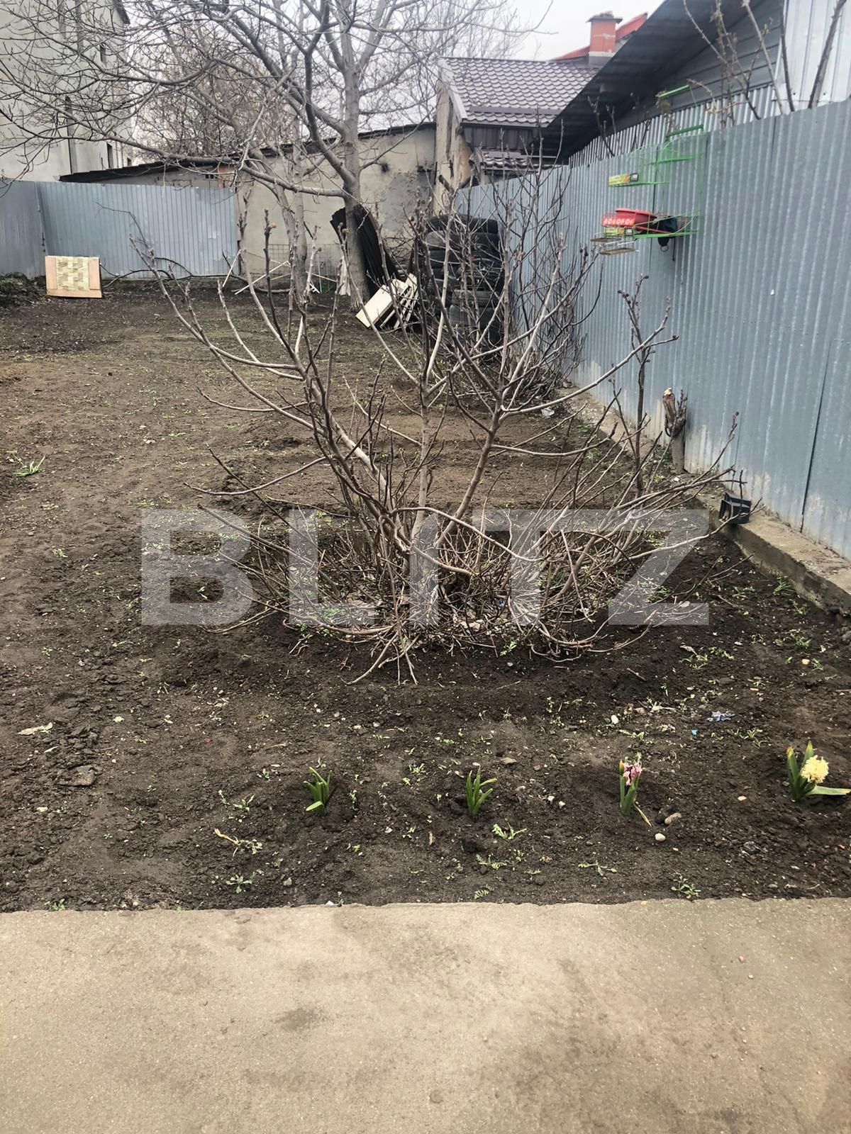 Casa de vânzare 3 camere Central - 75298CV | BLITZ Craiova | Poza7