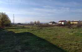 Teren intravilan 5950 mp in Catargiu cu 2 căi de acces