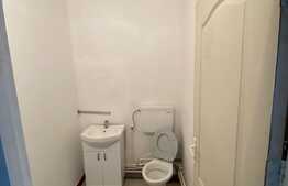 Spatiu comercial, 440 mp, curte exterioara 700 mp, zona Brestei