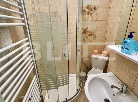 Garsonieră de închiriat Brazda lui Novac - 75595AI | BLITZ Craiova | Poza4