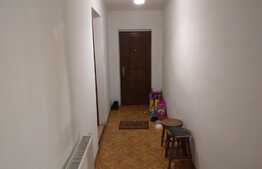 Casă individuală de 125 mp utili cu 727 mp curte, Isalnita