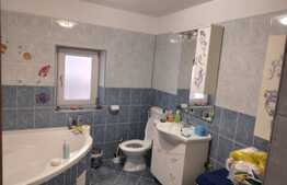 Casă individuală de 125 mp utili cu 727 mp curte, Isalnita