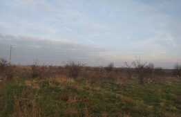 Teren extravilan, 7200 mp, Cernele