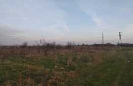 Teren extravilan, 7200 mp, Cernele