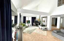 Casa moderna, 360 mp desfasurati, 700 mp teren, piscina, Damila 