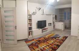 Garsoniera, zona Brazda