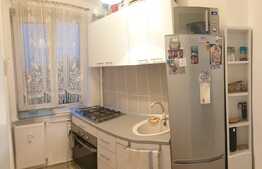 Garsoniera, zona Brazda