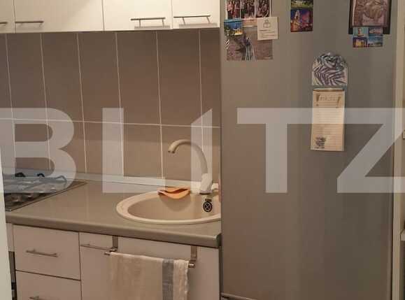 Garsonieră de vânzare Brazda lui Novac - 75770AV | BLITZ Craiova | Poza6