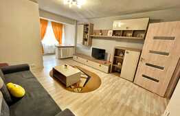 Garsoniera moderna de 33 mp, Brazda lui Novac