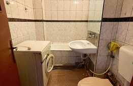 Apartament 2 camere, 58 mp, pet friendly, Parcul Romanescu