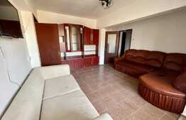 Apartament 2 camere, 58 mp, pet friendly, Parcul Romanescu