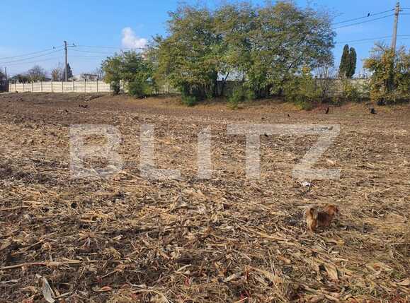 Teren de vânzare Bariera Valcii - 75931TV | BLITZ Craiova | Poza2