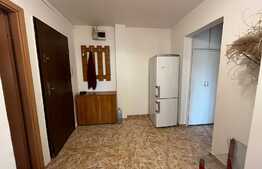 Apartament de 2 camere Brazda lui Novac, mobilat si utilat