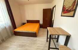 Garsoniera de 25.5 mp, pet friendly, zona English Park, Ultracentral!