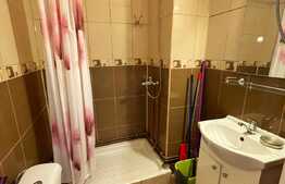 Garsoniera de 25.5 mp, pet friendly, zona English Park, Ultracentral!